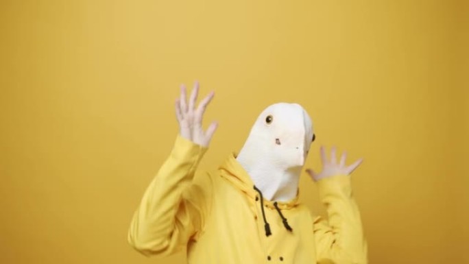 戴着鸽子面具的人做着有趣的手势。带鸽子面具的快乐男人
