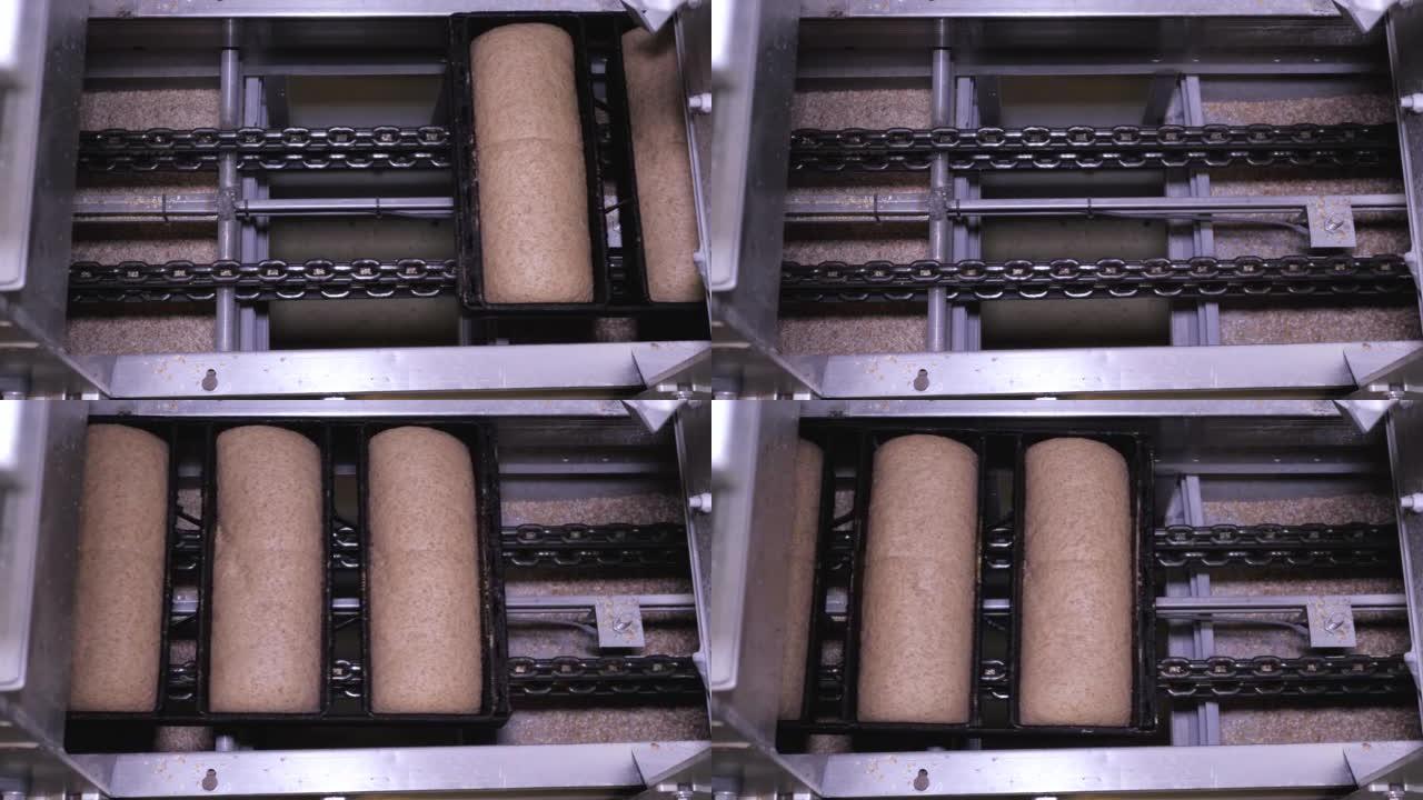面包店工厂传送带上的烤盘中的发酵面包，前往烤箱