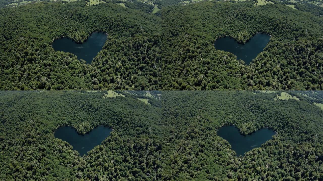 智利利辛的心形泻湖的轨道在阳光明媚的日子里被森林包围-无人机拍摄