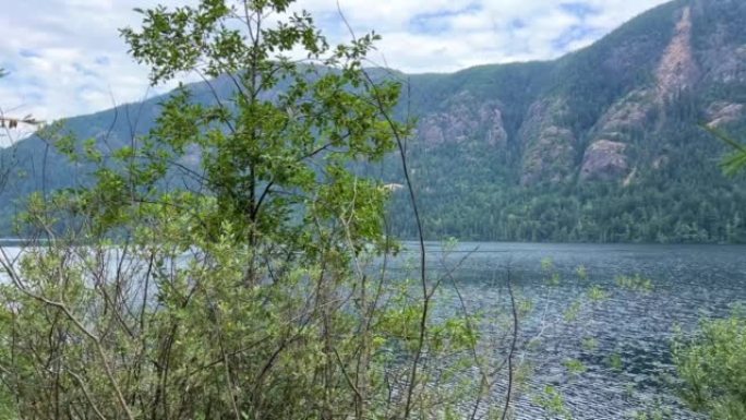 温哥华岛上巨大的深冷河流，靠近加拿大自然地标的高山雾和灰色天空美景