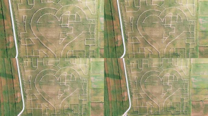 玉米地中间迷宫的俯视图，心形
