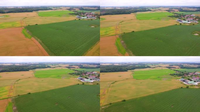 欧洲家庭农场变成波兰的绿地。鸟瞰农舍、丘陵、农田。鸟瞰图乡村景观农业企业食品工业。波兰农场，乡村风光