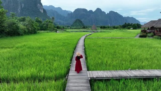 年轻女子走在老挝万荣绿色稻田的木路上。