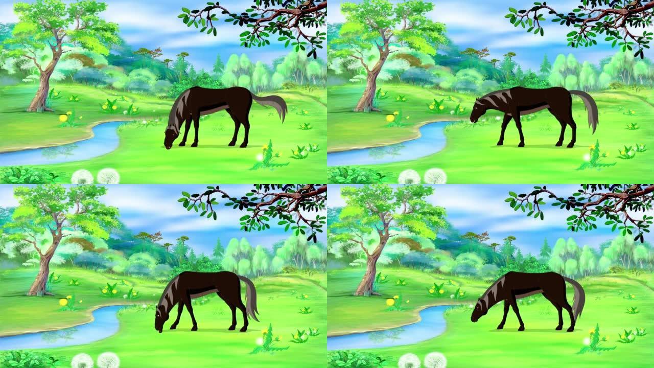 黑马在草地上吃草
