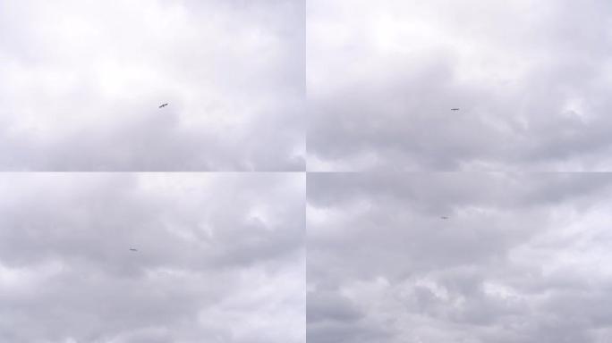 在Fuerteventura上空多云的天空中飞行的海鸥的低角度拍摄
