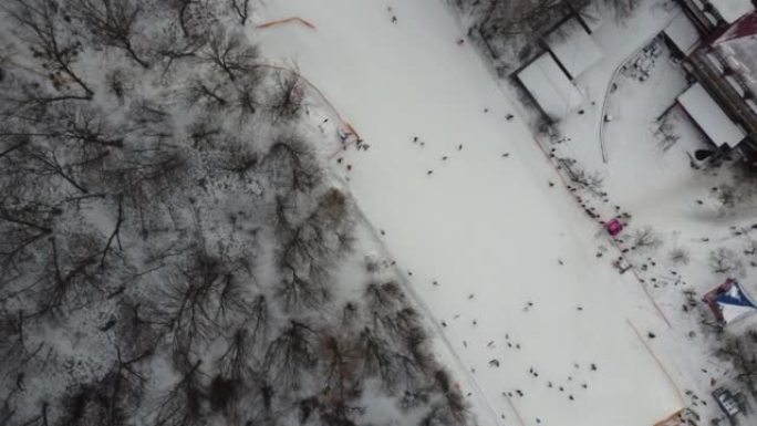 滑雪运动，冬雪。森林里布满了秀场的树木。寒冷的冬天下雪的天气。滑雪胜地。乌克兰，基辅