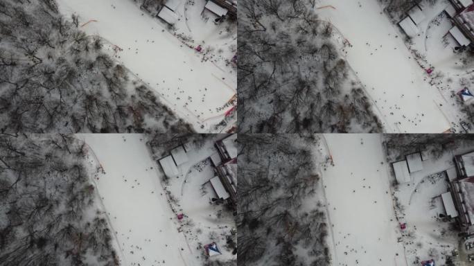 滑雪运动，冬雪。森林里布满了秀场的树木。寒冷的冬天下雪的天气。滑雪胜地。乌克兰，基辅