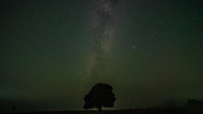 一棵松树的天文时光倒流映衬在夜空中，银河系在北半球升起，月亮在广阔的景观上升起。4k