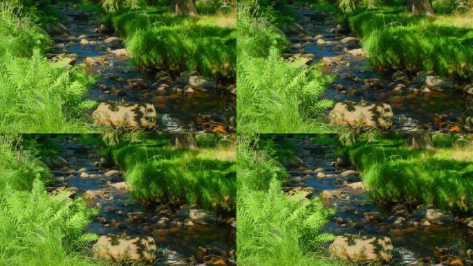 Mountain river in wild nature landscape. Green lus