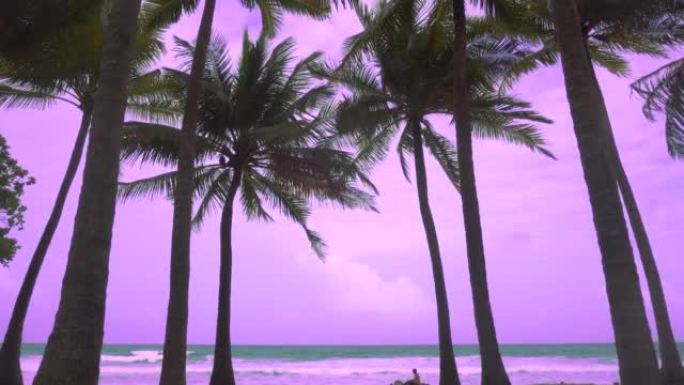 风吹着紫色背景上的椰子树，人们在海滩上散步
