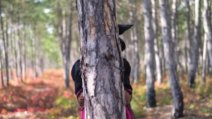 一个打扮成女巫的女孩躲在森林里的一棵树后面。善恶轮回。万圣节儿童打扮成女巫