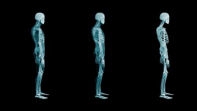 The hologram of Three rotating particle skeleton