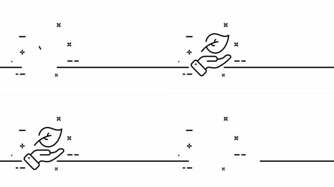 手中的叶子。植物，花卉，向日葵，生态学，植物学，植物学，绿色和平，绿化。拯救地球概念。一个线条画动画
