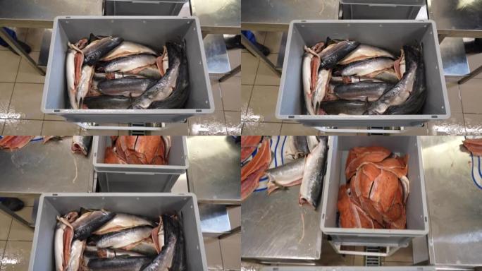 生产鱼车间，加工鱼片红鱼，钢材，切削台。工人用锋利的刀在钢制切割台上切割驼背鲑鱼肉片并剥皮。顶视图