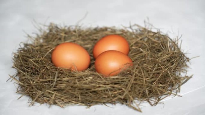 鸟巢中的三个鸡蛋被隔离