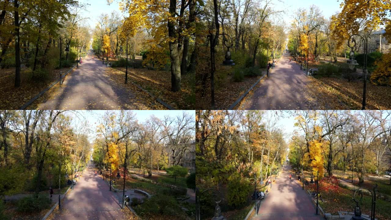秋季利沃夫城市公园景观