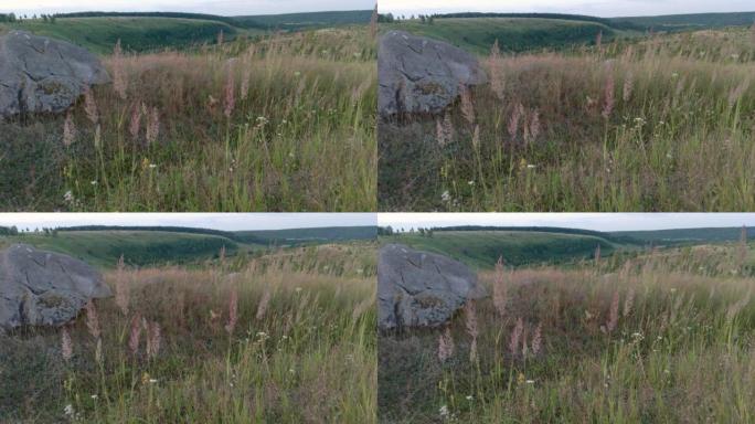背景中山沟上的野生夏草在风中摇曳，前景中是石英岩砂岩