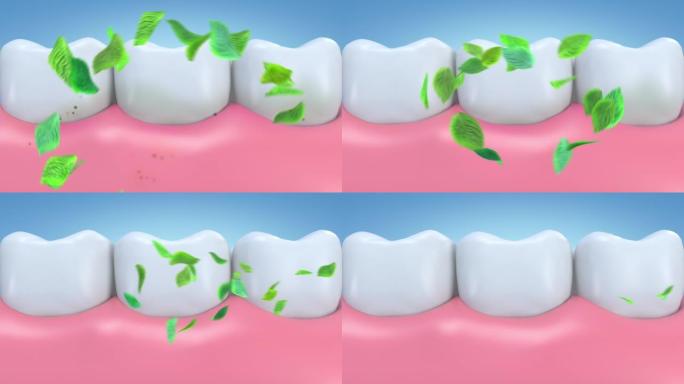 3d动画呈现薄荷叶流清洁牙龈和牙齿