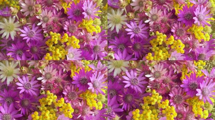 野花背景旋转。五颜六色的花束不同美丽的新鲜和干花旋转，慢动作。美丽的花。田间干燥的永生
