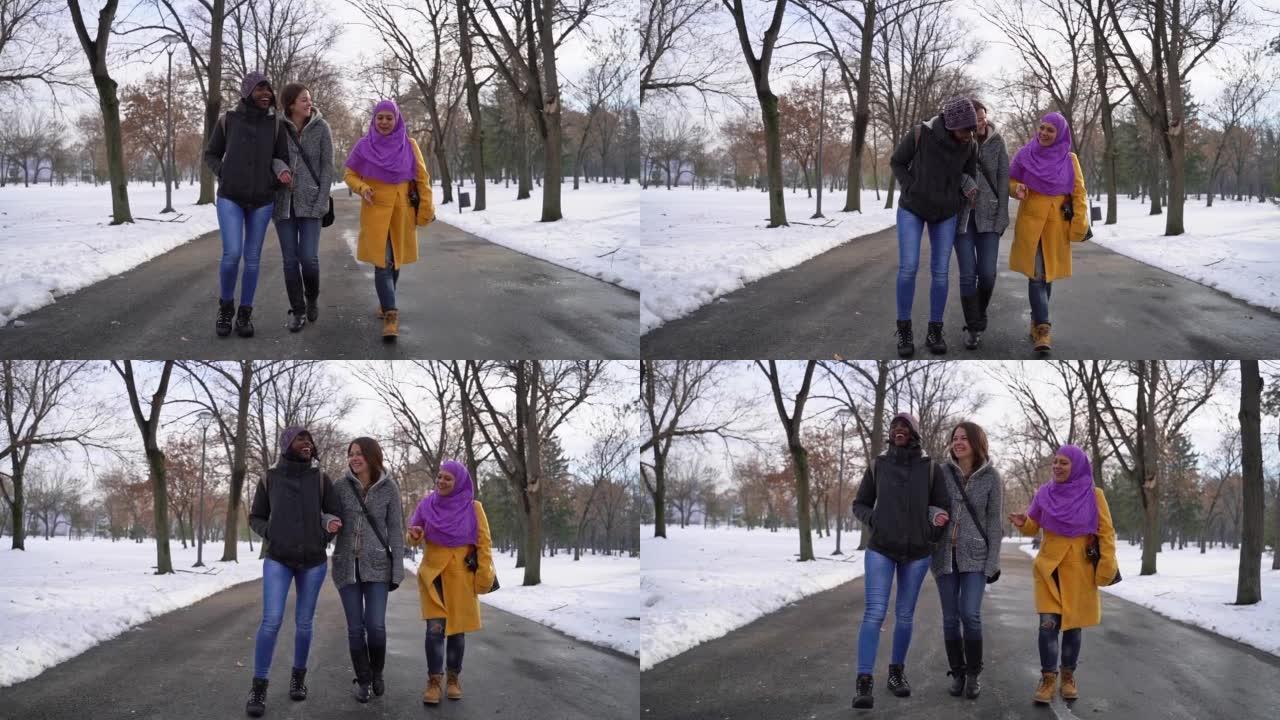 多民族朋友在冬日一起散步