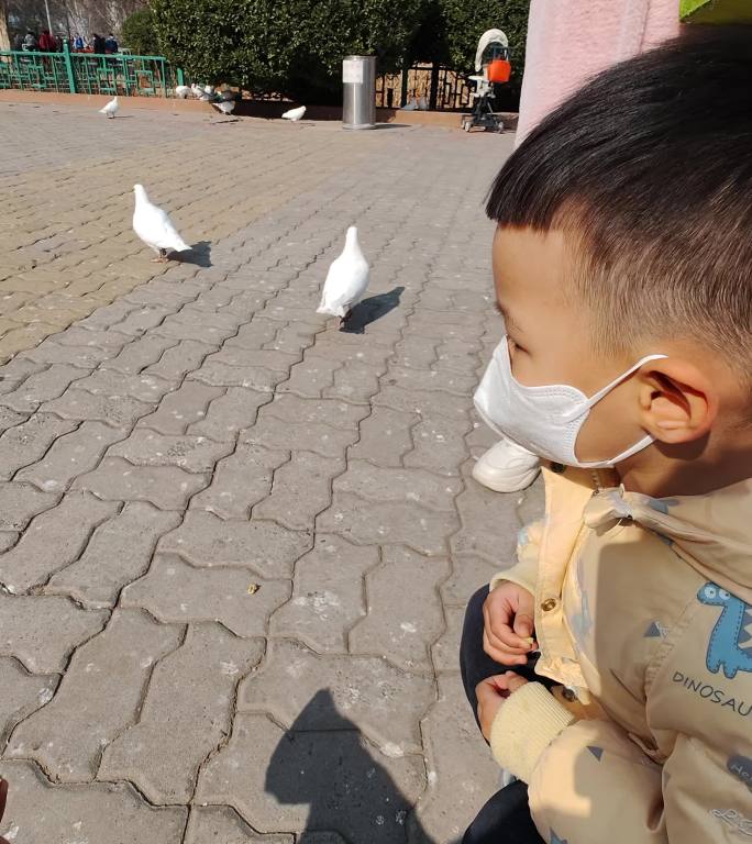 竖版小朋友喂鸽子在广场游玩1