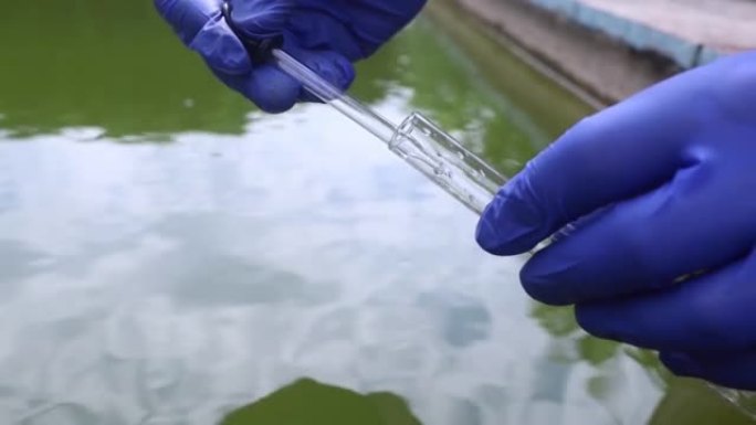 水样。池水的细菌控制。检查藻类、有害物质和化学物质的数量。人工水库水的实验室研究。将液体放入试管