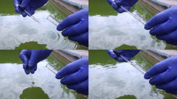 水样。池水的细菌控制。检查藻类、有害物质和化学物质的数量。人工水库水的实验室研究。将液体放入试管