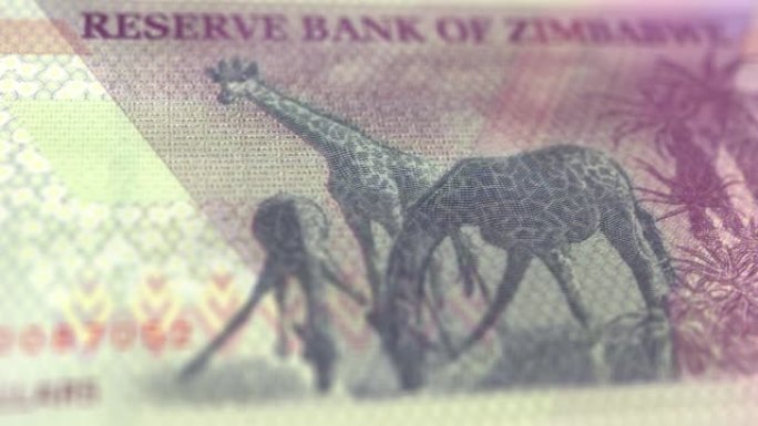 津巴布韦5美元纸币观察和储备侧的跟踪多利拍摄5津巴布韦钞票当前5津巴布韦美元纸币4k分辨率股票视频-