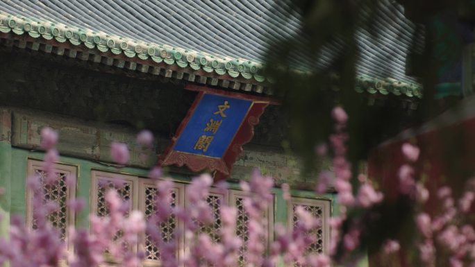 春天北京故宫博物院文华殿内绽放的樱花