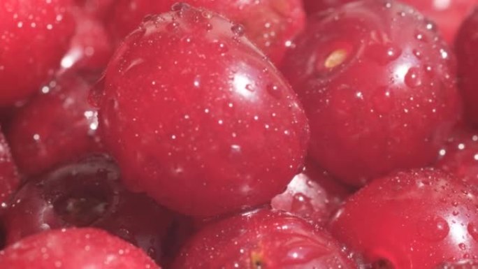 水滴成熟的红樱桃特写。洗过的樱桃
