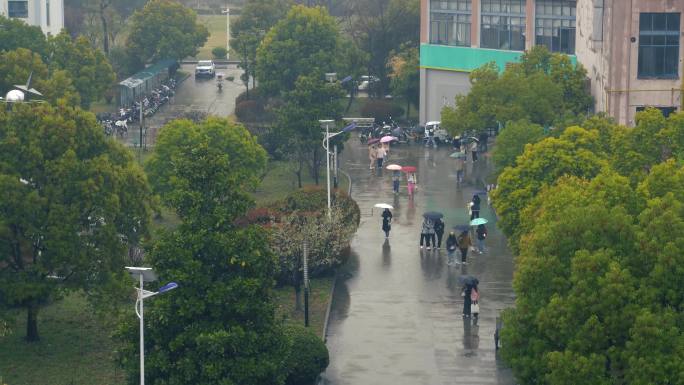 大学校园空镜 春雨 雨天校园 学校空镜