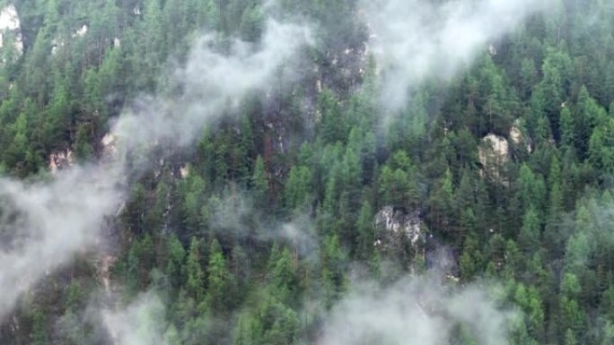 空中无人机拍摄了多洛米蒂与福雷斯，白云岩山脉，白云岩阿尔卑斯山或白云岩阿尔卑斯山的雾状松树树林，是位