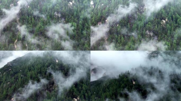 空中无人机拍摄了多洛米蒂与福雷斯，白云岩山脉，白云岩阿尔卑斯山或白云岩阿尔卑斯山的雾状松树树林，是位