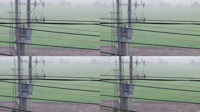 大雨中的电线杆4K实拍