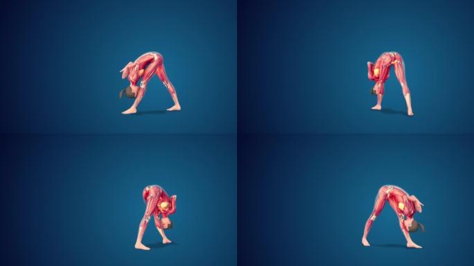 3D人类Parsvottanasana变异，手臂在蓝色背景上反向namaskar瑜伽姿势，可循环