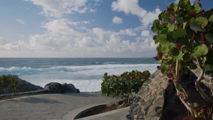 特内里费，圣地亚哥港，普拉亚拉竞技场。海浪冲入海滩。用植物拍摄海岸线的电影。