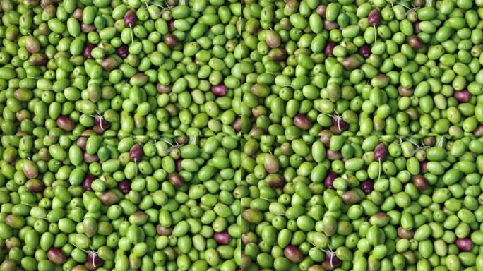 盒子里展示的生橄榄特写