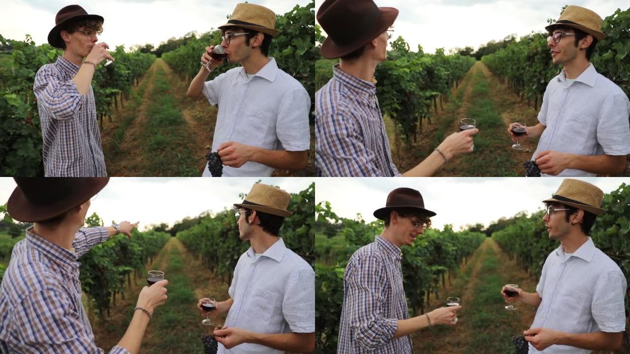 两个农民用葡萄园里的酒欢呼，谈论工作。