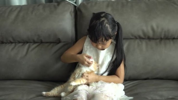 拥抱小猫的年轻女孩