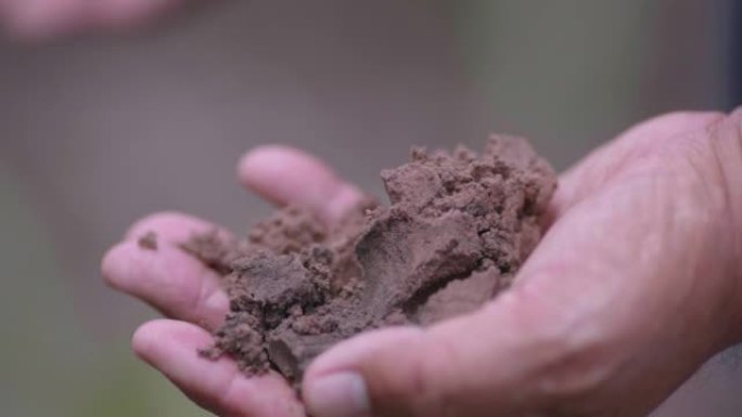 SLO MO亚洲农民的手在田地上挖出泥土。