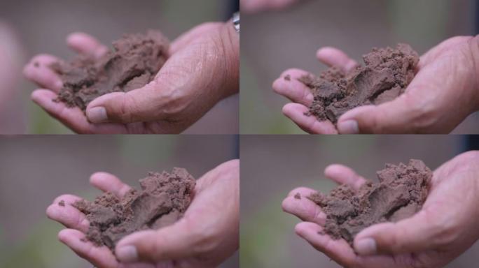 SLO MO亚洲农民的手在田地上挖出泥土。