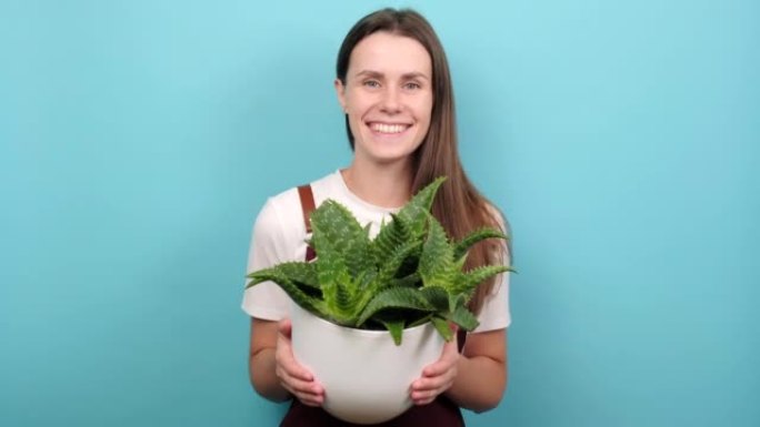 开朗迷人的年轻高加索女性植物爱好者关心装饰家之花，快乐地看着相机，在工作室的蓝色背景墙上孤立地摆姿势