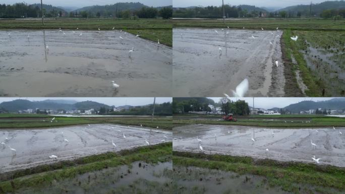 春耕  春分春雨  乡村田园  田园生态