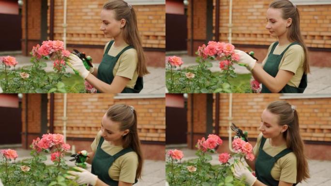 年轻女子在花园里用修枝子修剪粉红玫瑰
