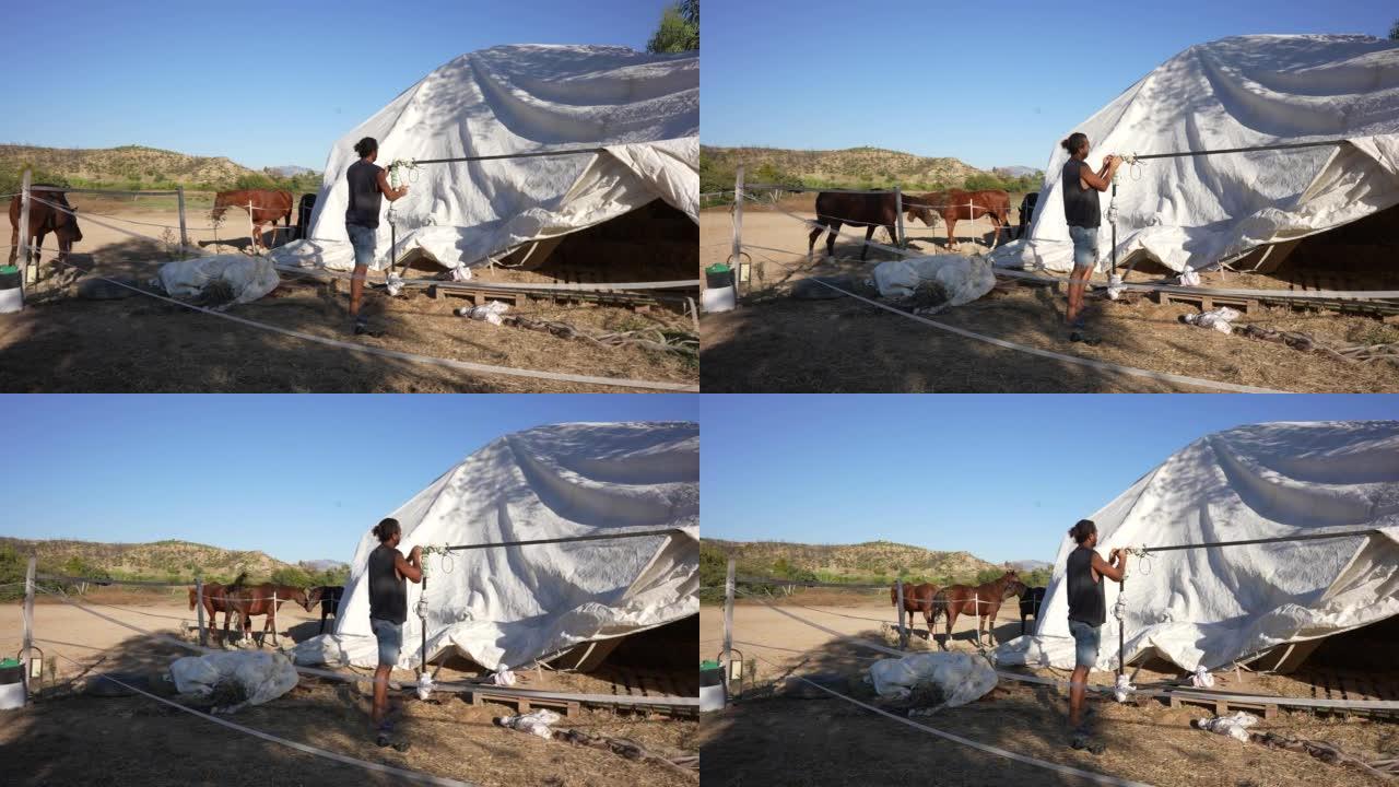 农场工人搭建帐篷以保护干草堆免受雨水侵害