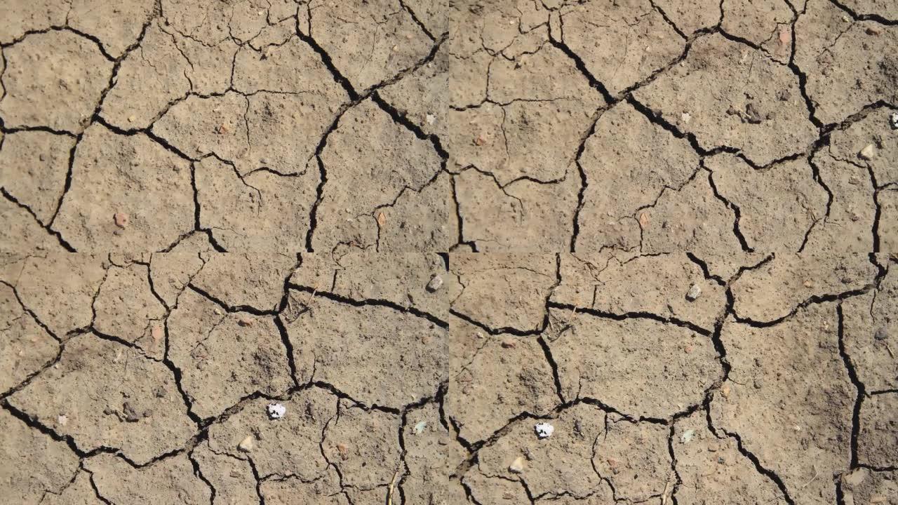 干土的深层裂缝。沙漠干旱。无雨季节。