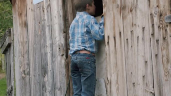 兴奋的年轻农民男孩在美国科罗拉多州的一个小镇家族牧场上，tip着脚尖站着看着鸡舍