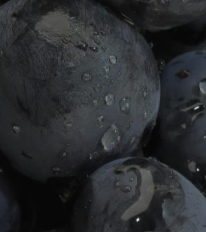 垂直视频-宏观肖特，一束带水滴的黑葡萄。Ecstereme关闭，相机向上移动