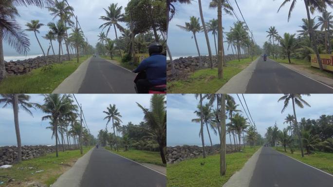 喀拉拉邦沿海路，Thiruvananthapuram Anjengo沿海路，椰树