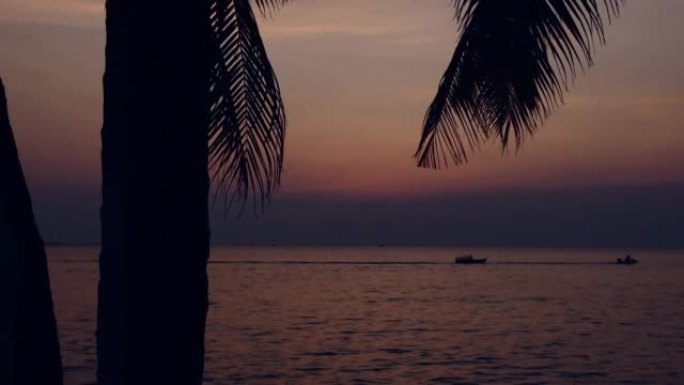 棕榈树剪影深黑色天空背景，黄昏日落时大海